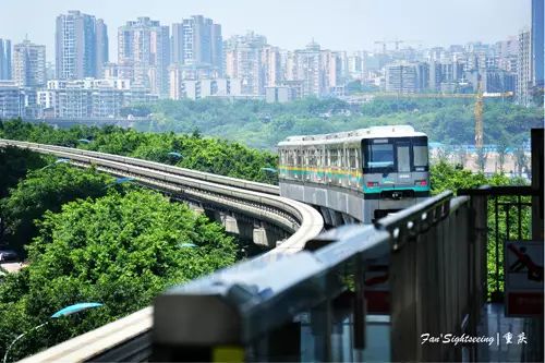 8d城市重庆又双叒叕火了 这次竟然是因为