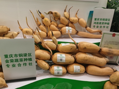 重庆农产品地理标志展区
