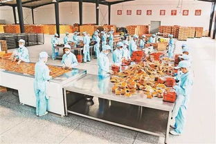 重庆日报乡村振兴周刊 重庆农产品加工业如何走上 快车道