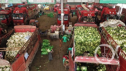 主城最大菜篮子 每天5000吨蔬菜保障市民餐桌