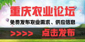 石柱县2018年现代青年农场主培育申报通知