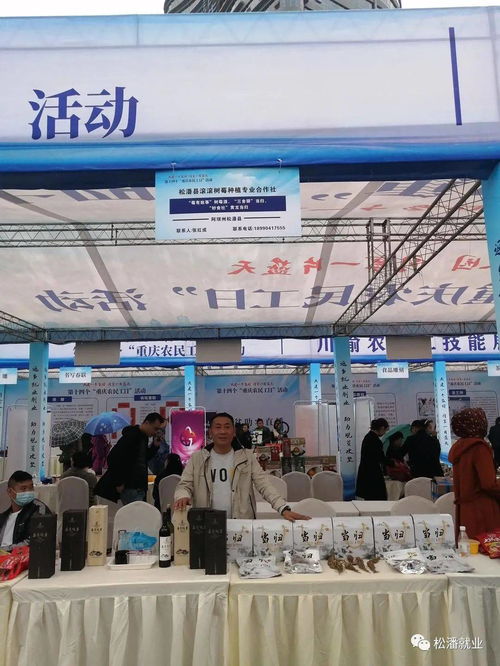 四川省参加 重庆市农民工日 活动返乡创业产品展