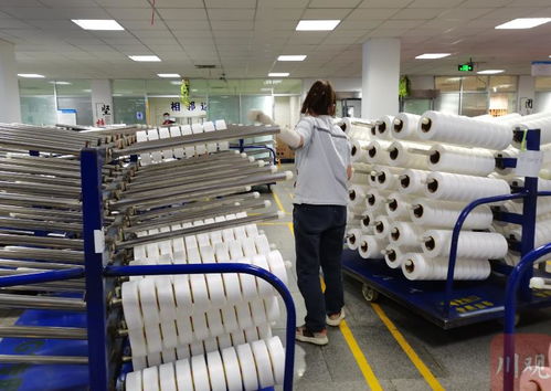 走进区域看发展丨川渝向 新 而行 新材料产业跑出 加速度