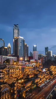 高考生物最全知识点汇总 一轮复习首选指南（重庆适用）